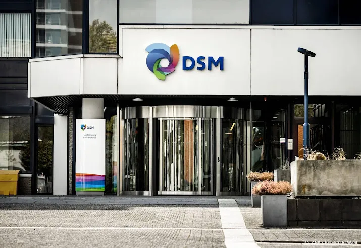 dsm vindt ook koper voor divisie engineering materials