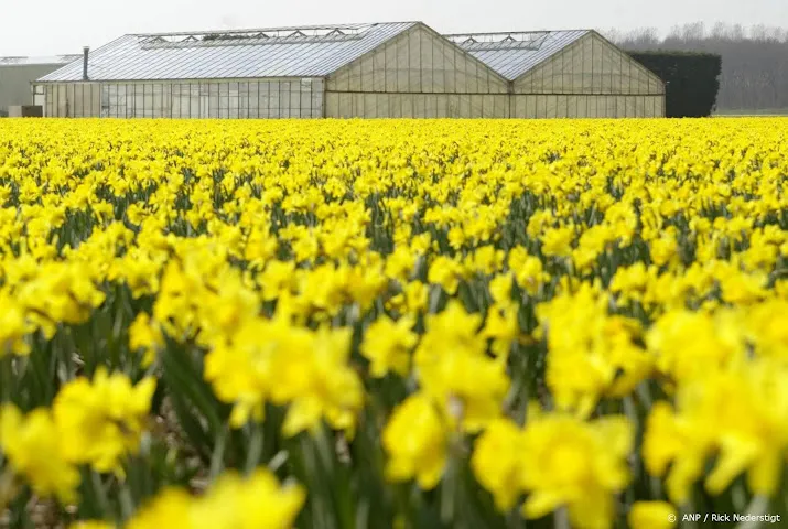 duurzame glastuinbouwprojecten dreigen om te vallen door duur gas