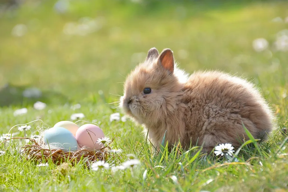 easter 2197043 960 720