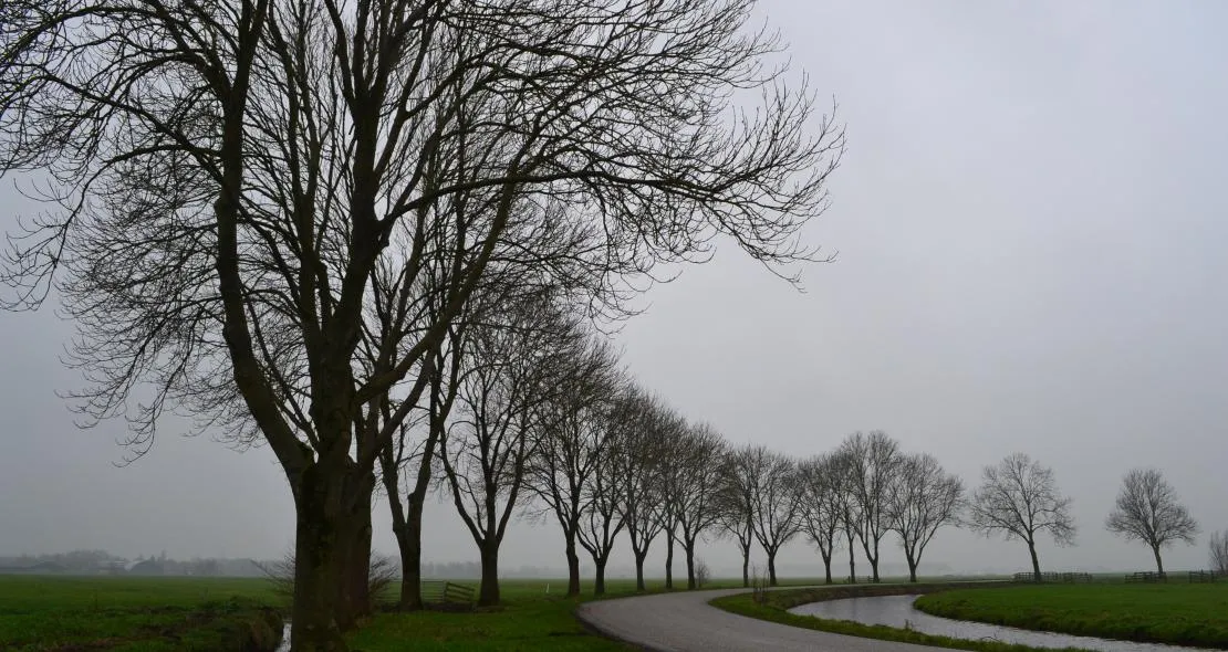 ed van der padt ridderkerk 1