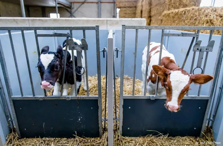 een derde minder melkveehouders in 2030