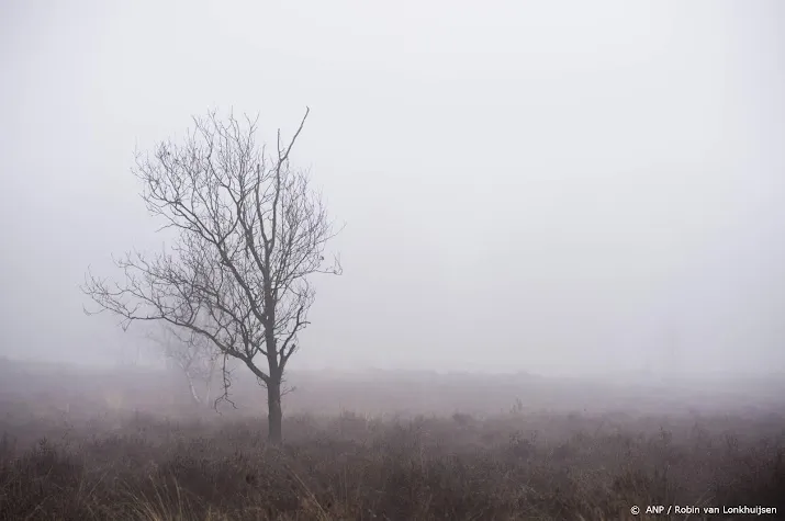 eerste lokale ijsdag gemeten in eelde