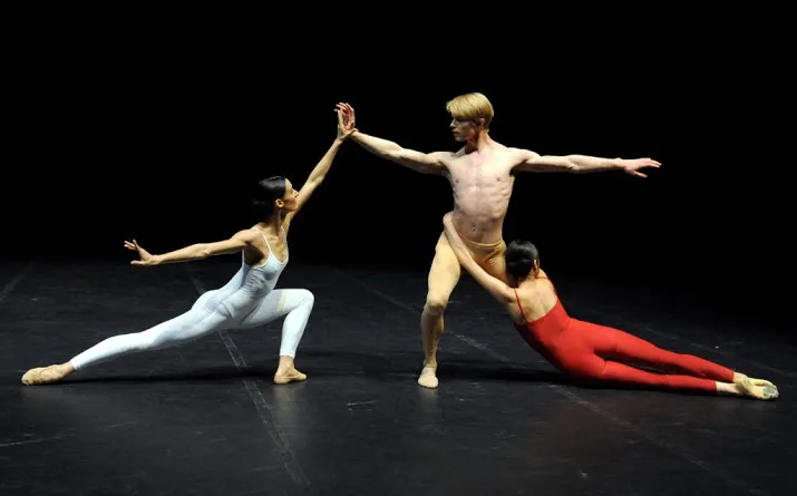 eerste solist het nationale ballet stopt