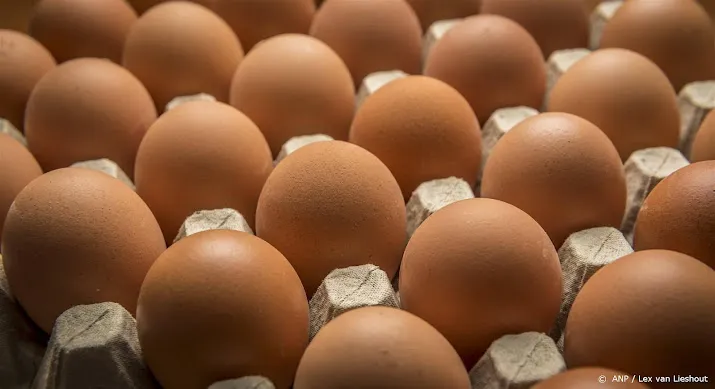 eieren in jaar tijd ruim een kwart in prijs gestegen