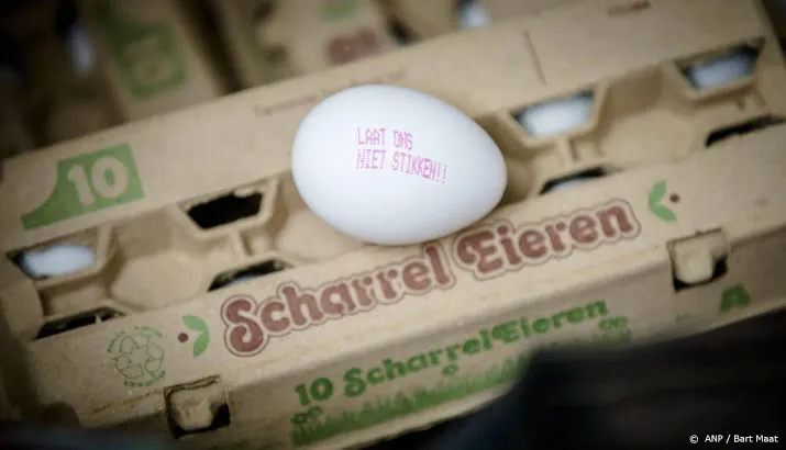 eigenaren chickfriend voor de strafrechter in fipronilaffaire