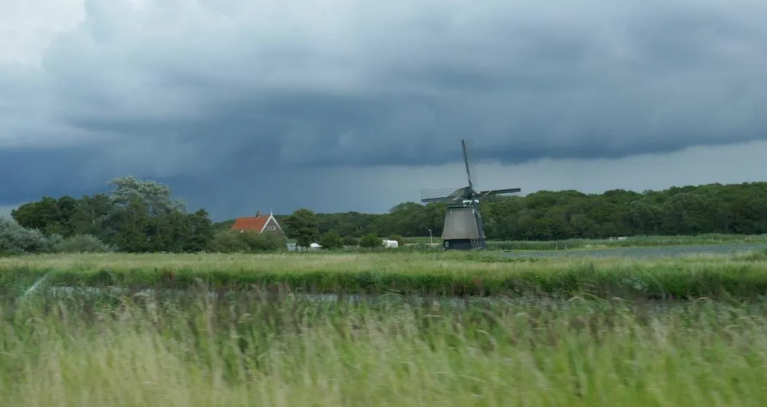 elly bos wildeboer