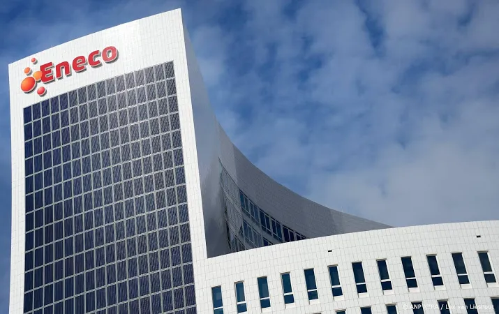 energiebedrijf eneco via veiling verkocht