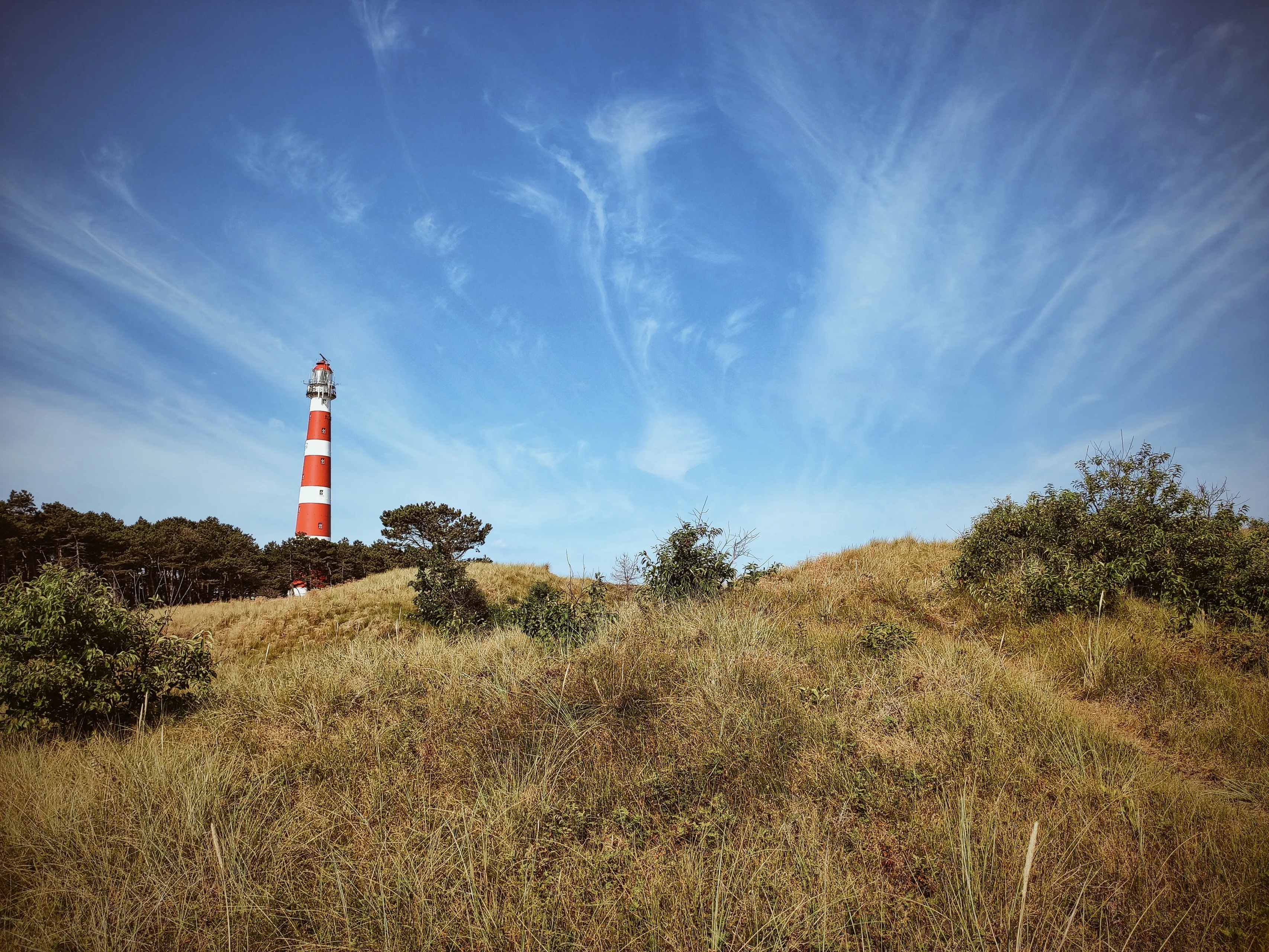 erik jan leusink regjlh52q6m unsplash