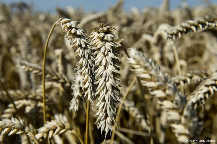 eu bereikt akkoord over import oekraiense landbouwproducten