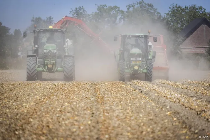 experts droogte pakt dit jaar positief uit voor inkomen boeren