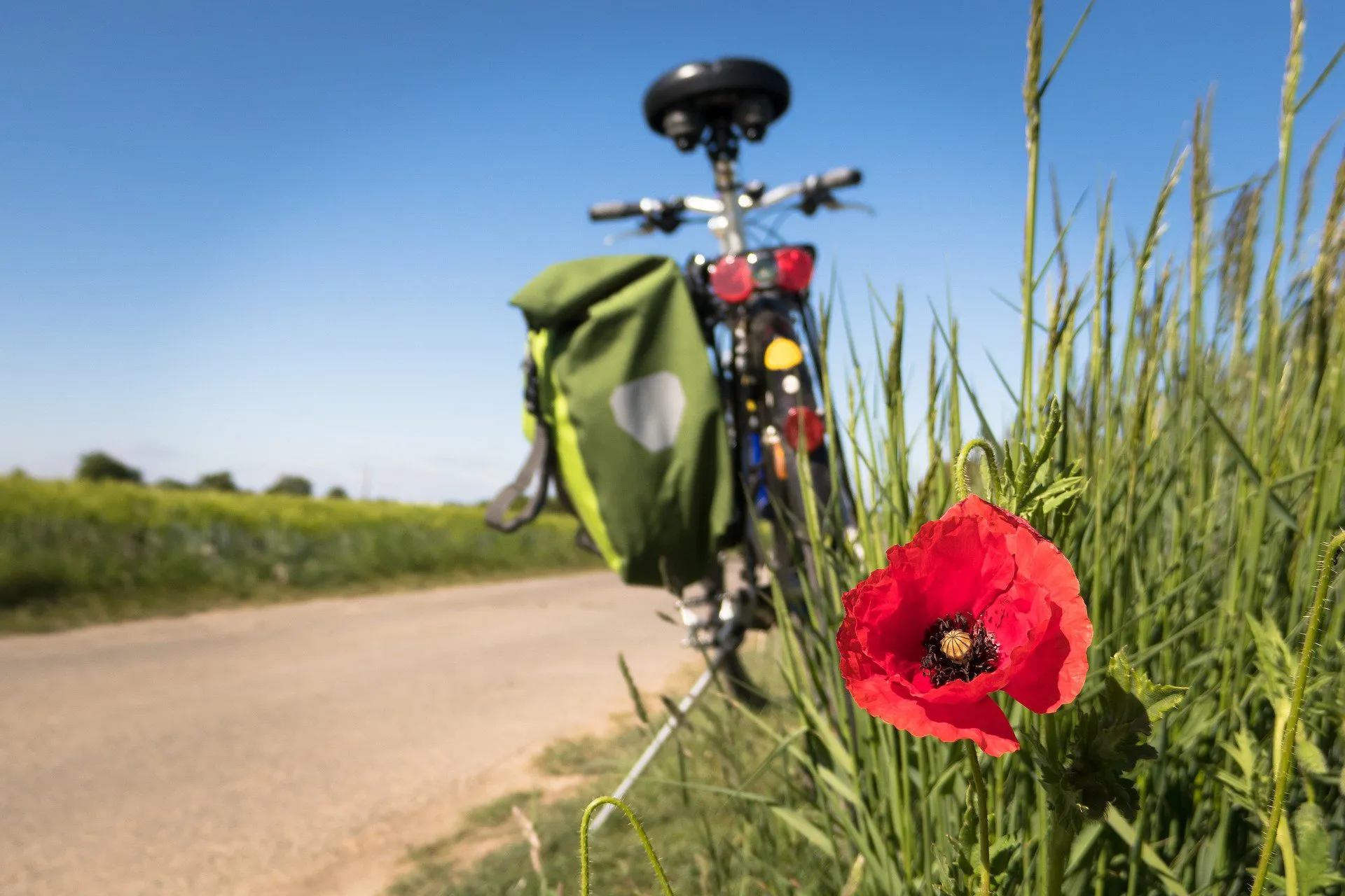 fietsroute tussen roosendaal en bergen op zoom pixabay