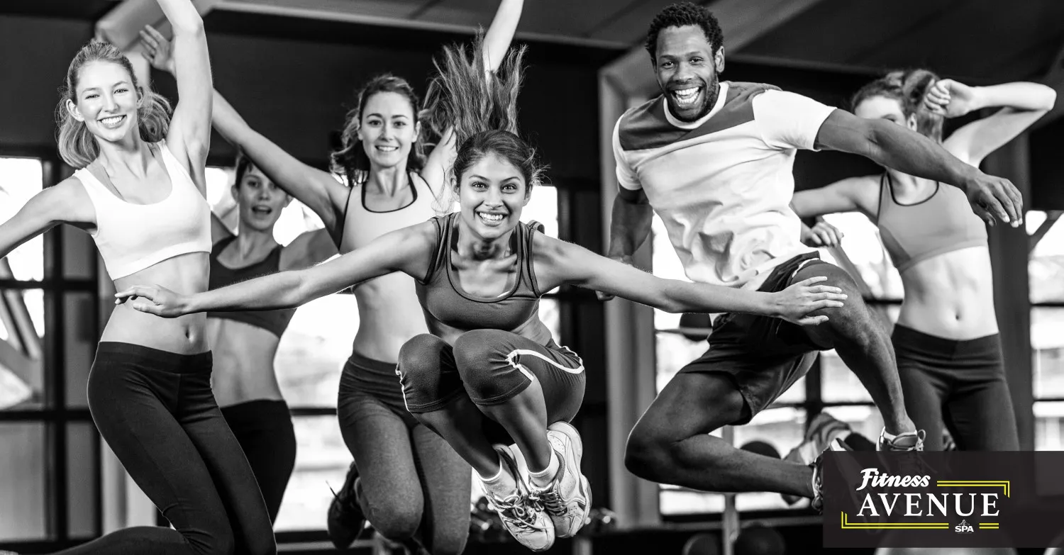 fitness avenue