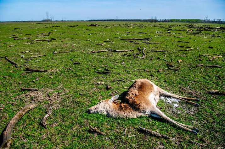 flevoland bespreekt oostvaardersplassen