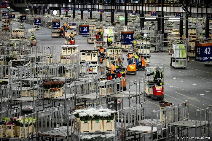 floraholland schrijft zwarte cijfers maar zorgen over toekomst