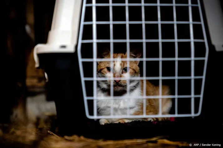 geef geen restjes kerstdiner aan hond en kat