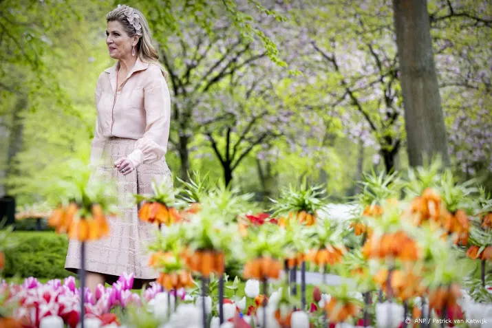 geen groot feest voor jarige koningin maxima