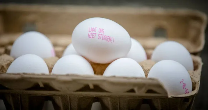 gevolgen fipronil crisis nog niet voorbij