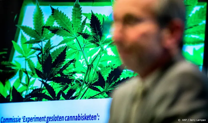 gewone wiet even naast staatswiet bij proef