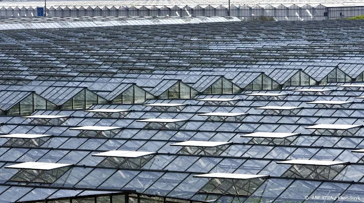 glastuinbouw nederland honderden bedrijven komen in de problemen