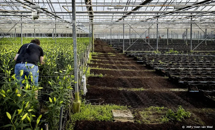 glastuinbouw waarschuwt voor minder nederlandse groenten en fruit