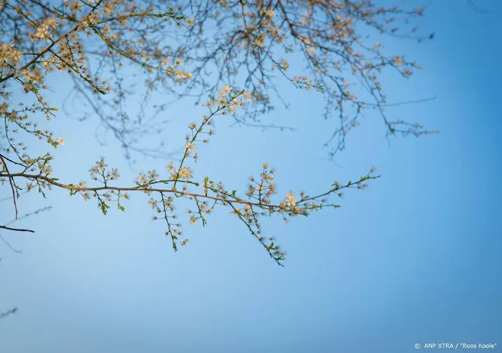 grens van 20 graden gepasseerd eerste lokale warme dag dit jaar