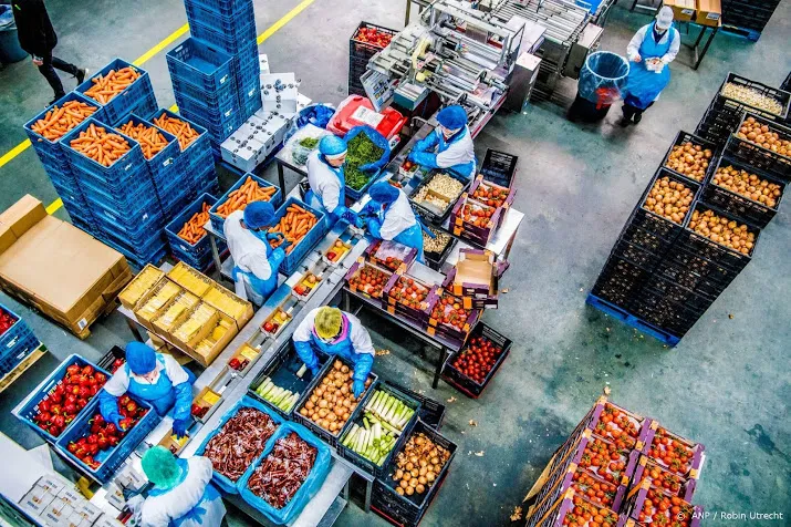 groei groothandel zakt in dit jaar