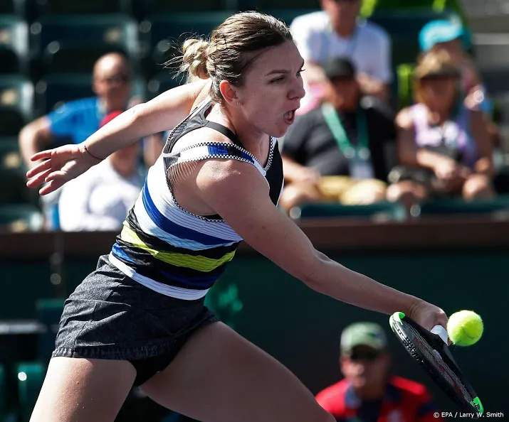 halep terug bij vroegere coach dobre