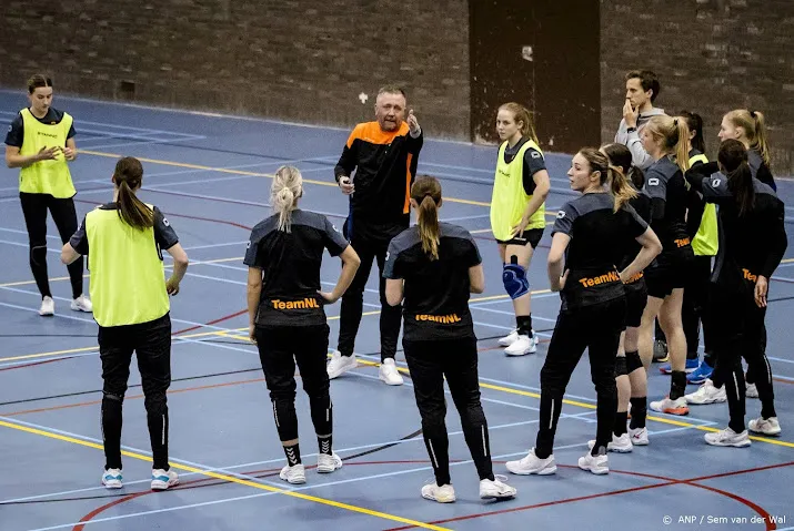 handbalsters tegen olympisch kampioen frankrijk in groepsfase ek