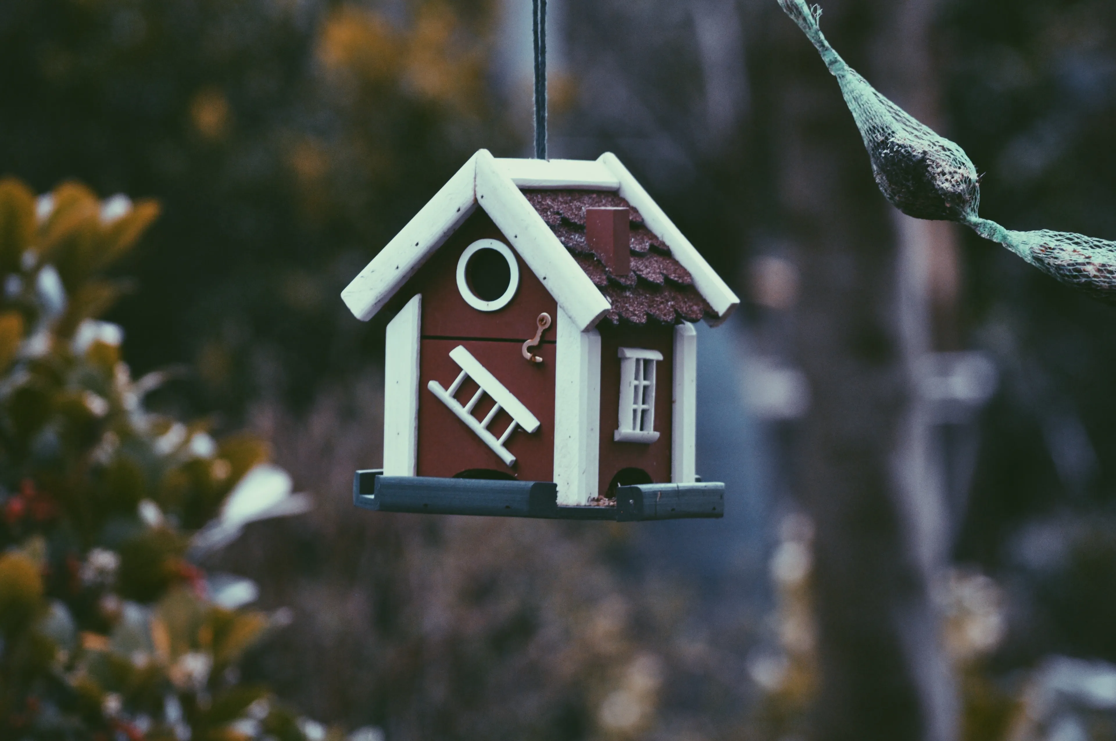 harmen jelle van mourik 0yfwdwhob0g unsplash