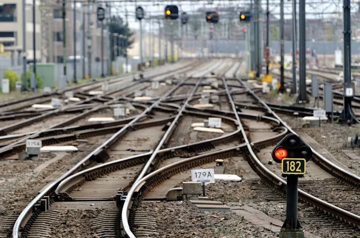 het lijkt wel dierendag op het spoor