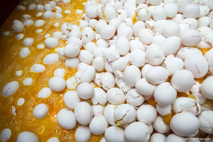 hof geeft kippenboeren ongelijk in zaak over fipronilschandaal