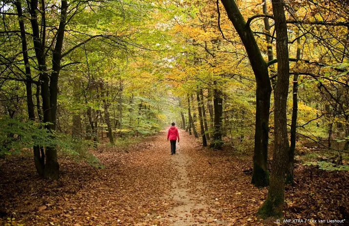 hoge veluwe schrapt wandelingen om storm