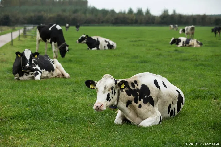 honderd boeren beboet voor fraude met registratie koeien