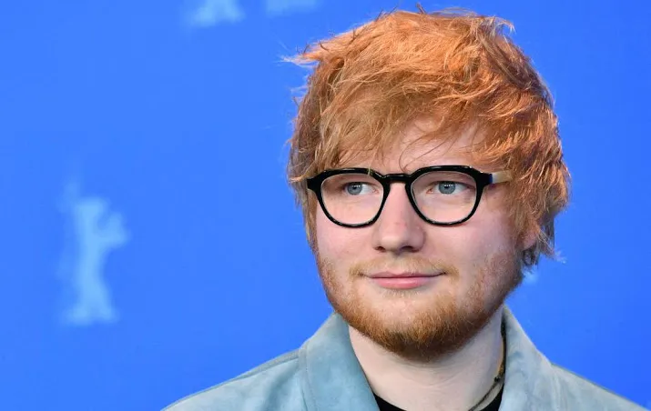 honderd bomen zitten ed sheeran dwars