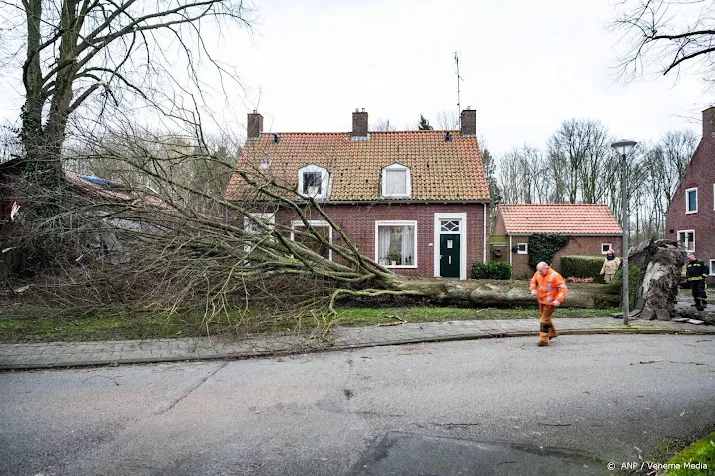 interpolis al flink veel schademeldingen door storm dudley