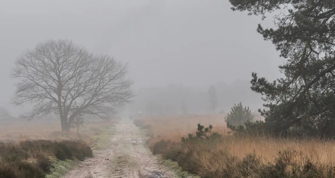 jos hebben altweerterheide