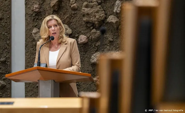 kamerlid liane den haan stapt uit lelijke politiek