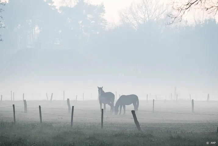 kans op flinke mist en nachtvorst in november