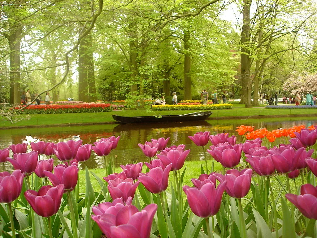 keukenhof hq wikimedia tiago fioreze cc by sa 30