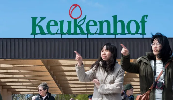 keukenhof in teken romantiek