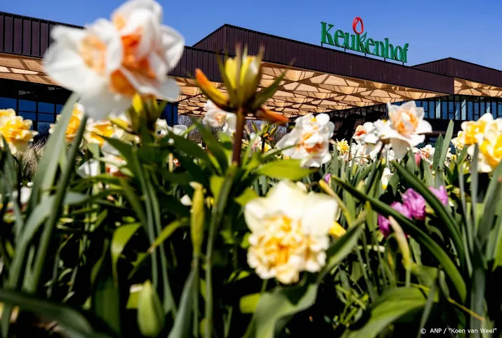 keukenhof maakt 360 gradenvideo