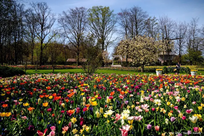 keukenhof sluit succesvol virtueel seizoen