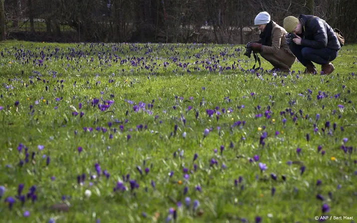 klimaatdienst februari is negende maand op rij met warmterecord