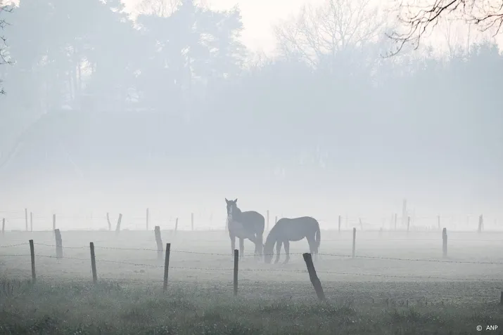 knmi waarschuwt voor dichte mist in hele land