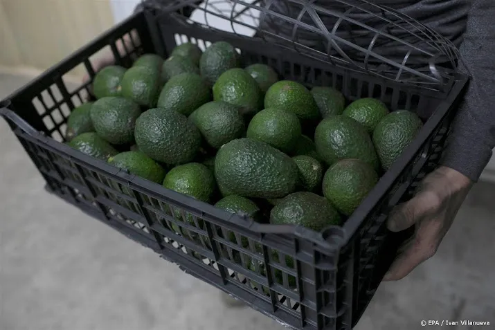 lading met peruaanse avocados bevat 130 kilo cocaine