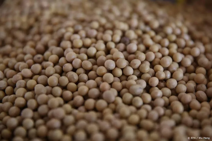 lap grond voor teelt sojabonen verdubbelt in omvang