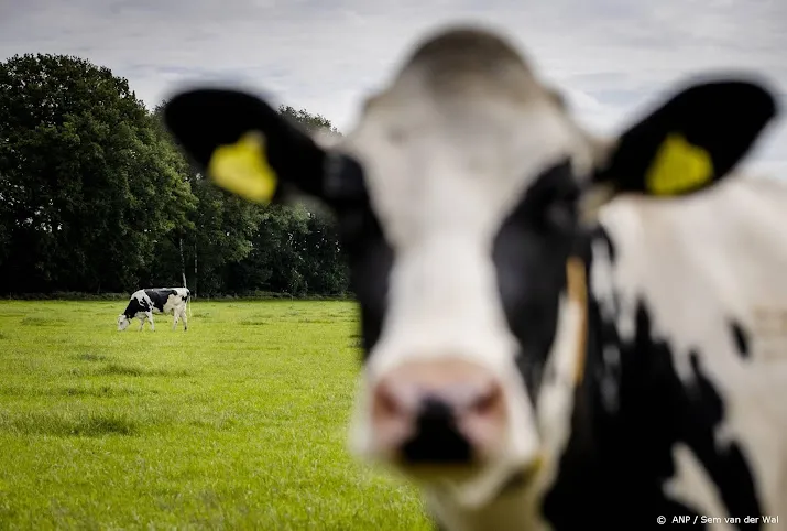 limburgse en brabantse cda fracties in de peel tegen stikstofplan