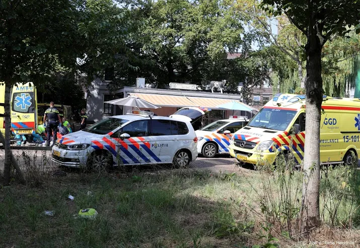 liquidatiezaak delftse crimineel voor de rechter