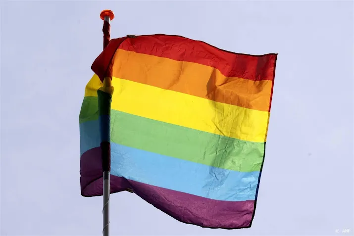 man heeft spijt van in brand steken regenboogvlag delft