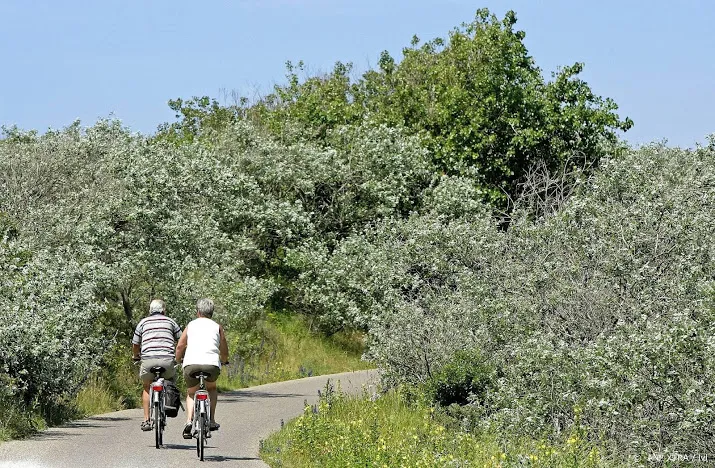 meeste wilde planten bij duinen wassenaar
